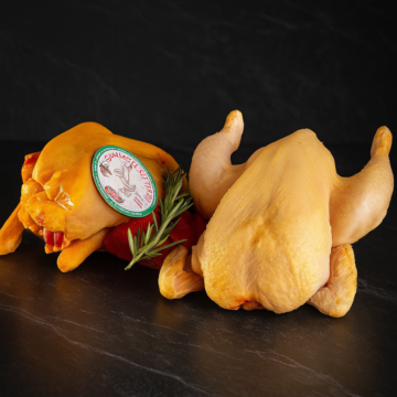 Gallina nostrana