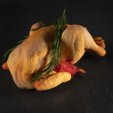 Pollo ruspante