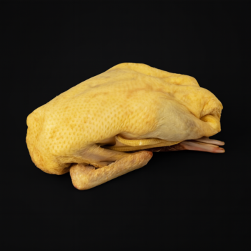 Anatra nostrana