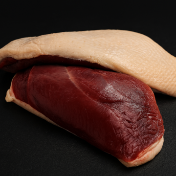 Petto anatra