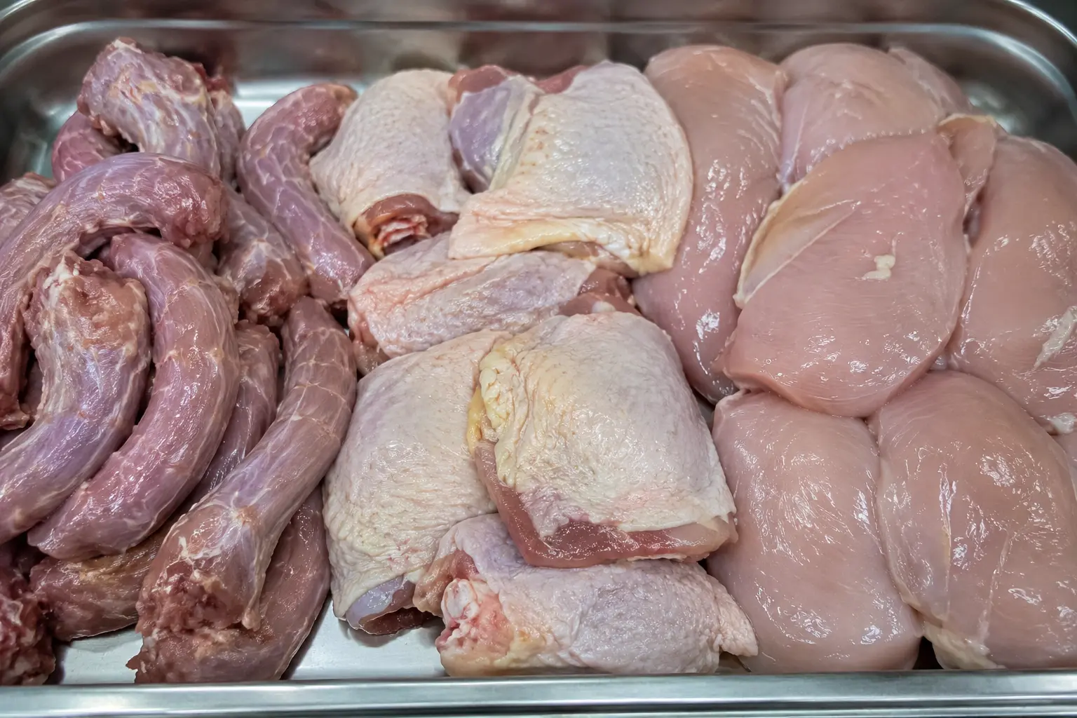 Carne di pollo cruda per cani e gatti